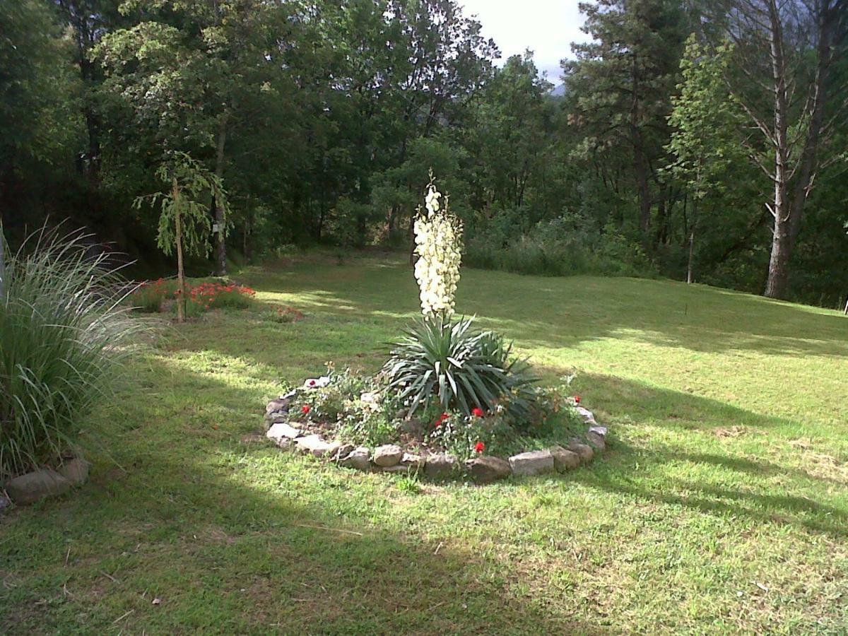 B&B Oasi Verde Corvara  Dış mekan fotoğraf